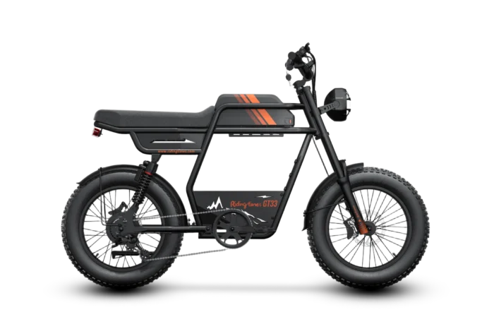 Riding Times GT33 Cargo Electric Bike