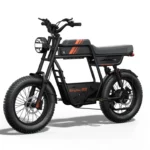 Riding Times GT33 Cargo Electric Bike - Riding