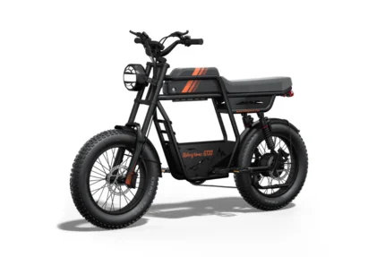 Riding Times GT33 Cargo Electric Bike - Riding