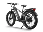 Himiway D5 Zebra - Image 3