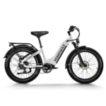 Himiway D5 Zebra ST Premium Electric Fat Bike