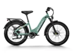 Himiway D5 Zebra ST Premium Electric Fat Bike - Image 2