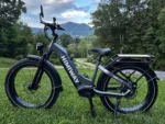 Himiway D5 Zebra ST Premium Electric Fat Bike - Image 4