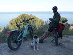 Himiway D5 Zebra ST Premium Electric Fat Bike - Image 5