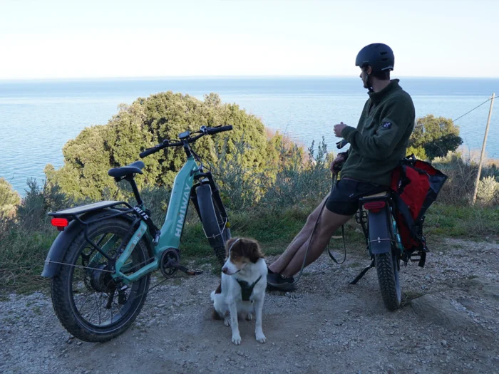 Himiway D5 Zebra ST Premium Electric Fat Bike - Image 5