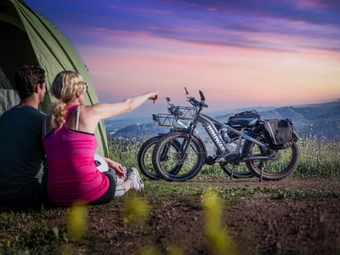 Himiway D5 Zebra ST Premium Electric Fat Bike - Image 7