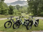 Himiway D5 Zebra ST Premium Electric Fat Bike - Image 9