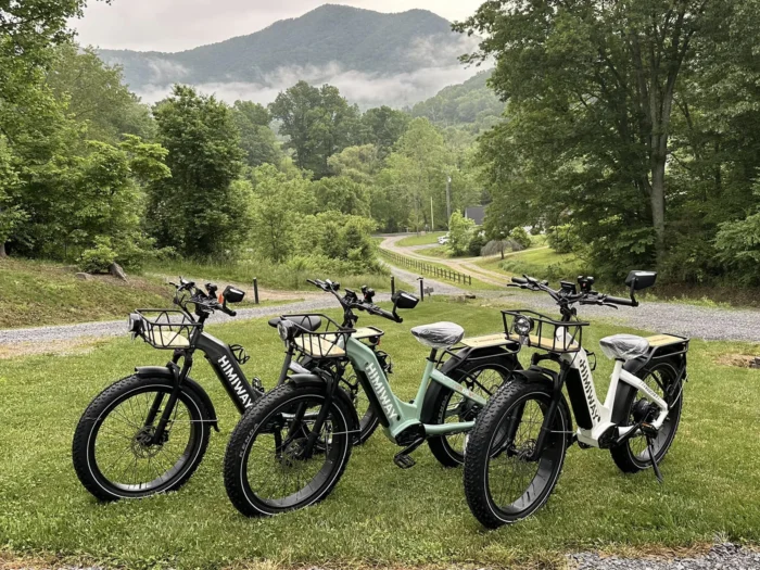 Himiway D5 Zebra ST Premium Electric Fat Bike - Image 9