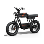 Riding Times GT33 Cargo Electric Bike