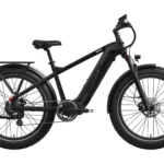 Basalt 2.0 Ebike