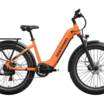Basalt ST 2.0 Ebike