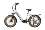 Mokwheel Scoria - Image 12