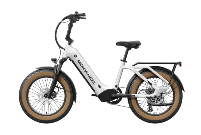 Mokwheel Scoria - Image 12