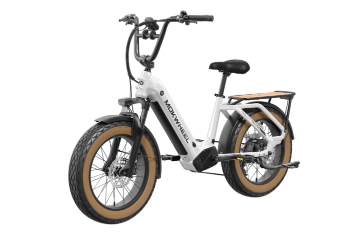 Mokwheel Scoria - Image 20