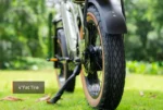 Mokwheel Scoria - Image 4
