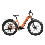 Mokwheel Basalt ST 2.0 Ebike