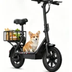 DYU C4 MINI 14'' Foldable