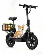 DYU C4 MINI 14'' Foldable