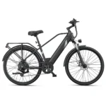 DYU C5 Lite 26 Inch