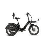 Lectric XP Trike2