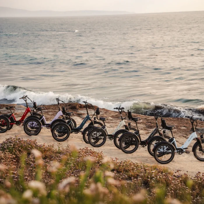 Lectric XP Trike Long-Range - Image 5