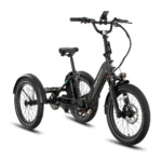 Lectric XP Trike2 - Image 6