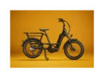 RadRunner Max Electric Cargo Utility - Image 8