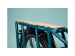 RadWagon 5 Electric Cargo - Image 7