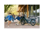 RadWagon 5 Electric Cargo - Image 9