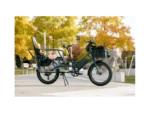 RadWagon 5 Electric Cargo - Image 10