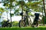 Riding times GT53 Cargo - Image 4