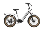 Mokwheel Scoria - Image 10