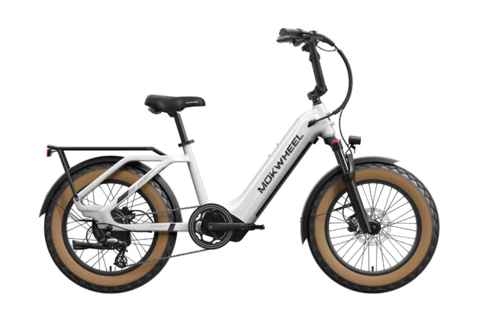 Mokwheel Scoria - Image 10