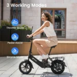 DYU C3 14-Inch Folding - Image 2