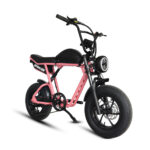 Dynalion K7-2 Fat Tire Electric Bike