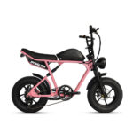 Dynalion K7-2 Fat Tire Electric Bike - Image 3
