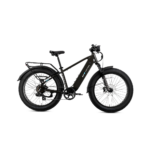 Lectric XPeak 2.0 High-Step