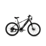 Lectric XPress 500 High-Step