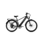 Lectric XPress 750 High-Step
