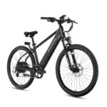 Lectric XPress 750 High-Step - Image 4