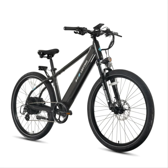 Lectric XPress 750 High-Step - Image 4
