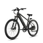 Lectric XPress 750 High-Step - Image 5