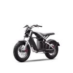 Segway Xyber